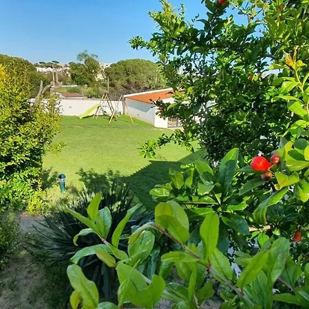 Villa Margarida By Laranjal *