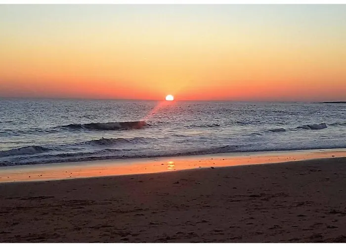 Margarida By Laranjal