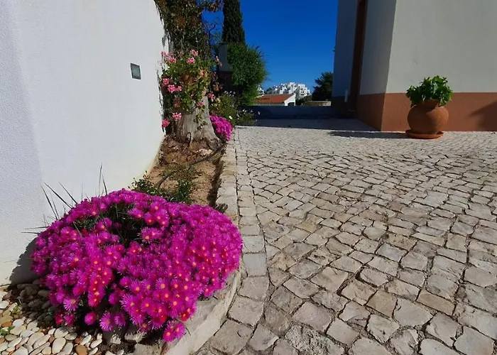 ヴィラ Margarida By Laranjal