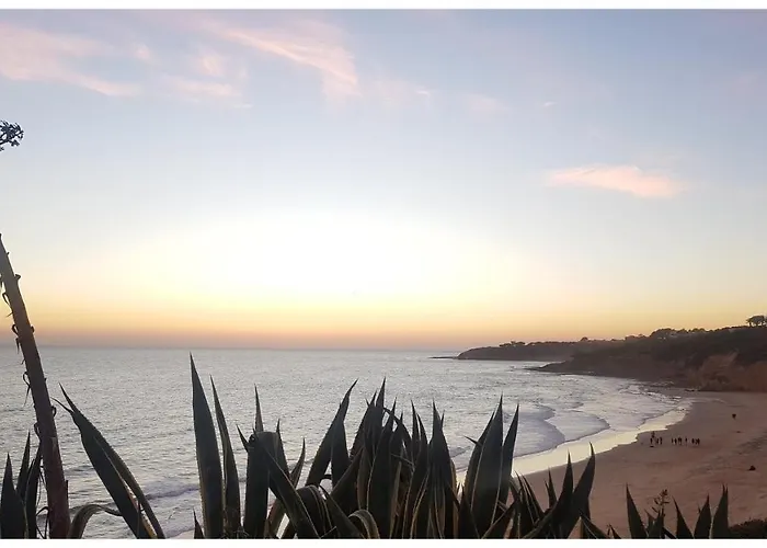 Margarida By Laranjal * アルブフェイラ