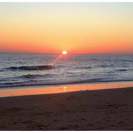 Margarida By Laranjal